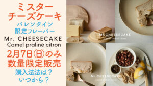 ミスターチーズケーキバレンタイン